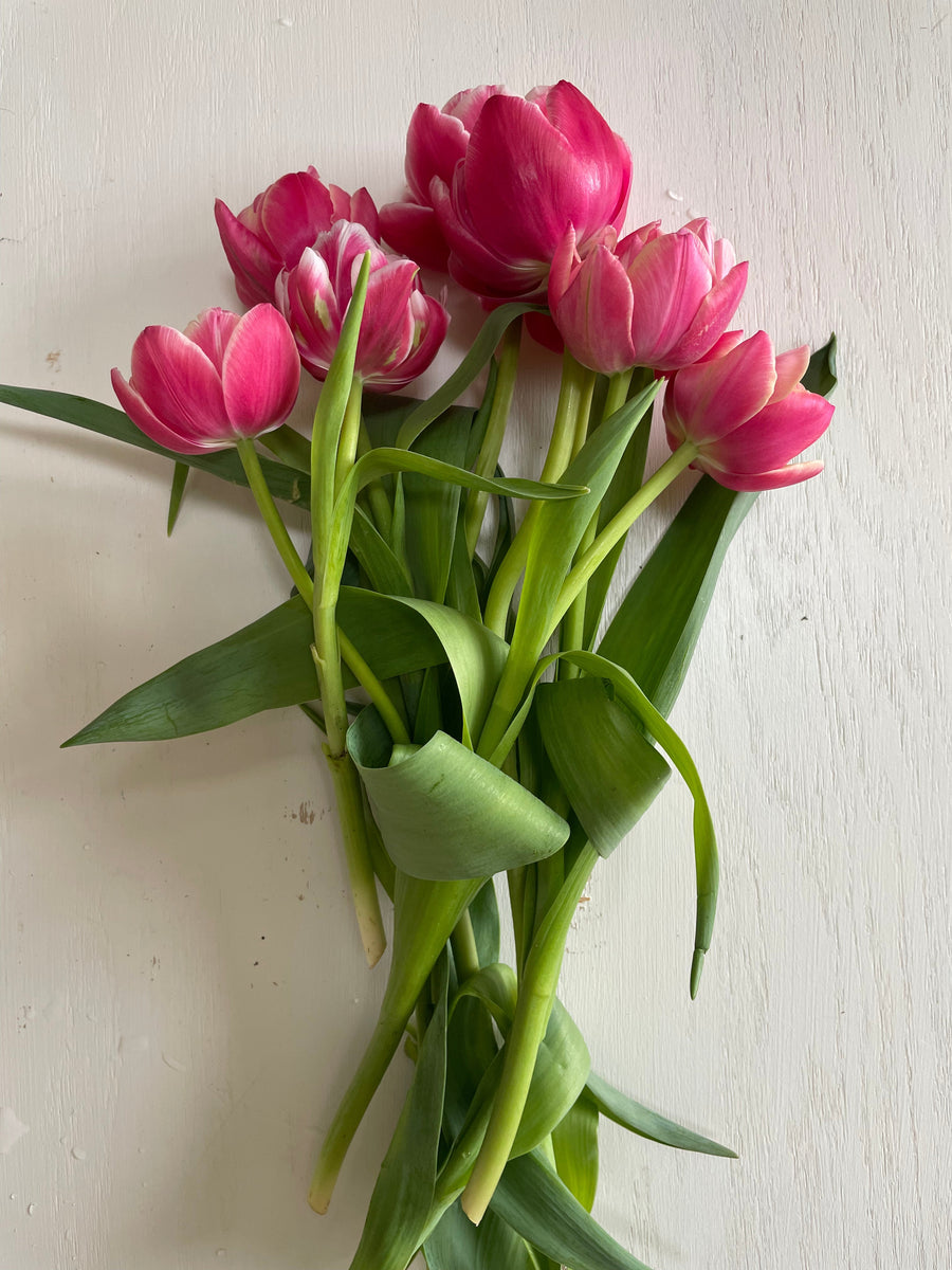 artificial tulip - Prices and Deals - Apr 2024