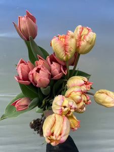 2024 Monthly TULIP Subscription