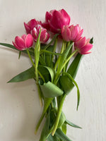 Load image into Gallery viewer, 2025 February/March Tulip Wrap Subscription
