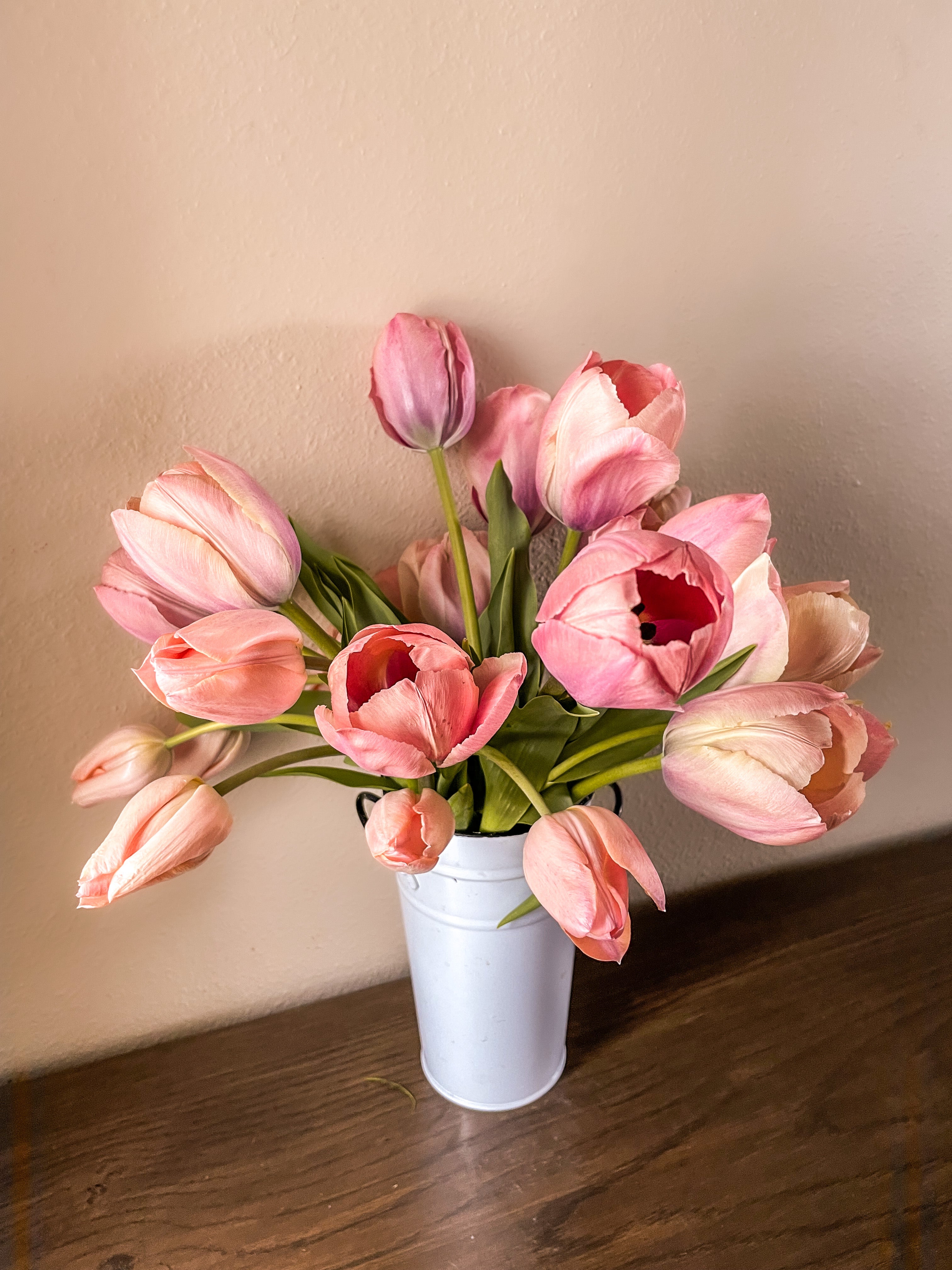 2025 February/March Tulip Wrap Subscription