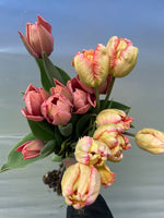 Load image into Gallery viewer, 2024 May Tulip Wrap Subscription

