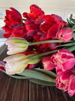 Load image into Gallery viewer, Fresh Cut Tulips
