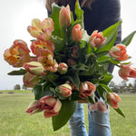 Load image into Gallery viewer, 2024 April Tulip Wrap Subscription
